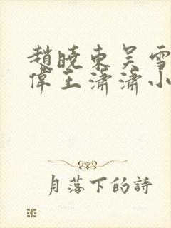 赵晓东吴雪晴郑伟王潇潇小说名字封面