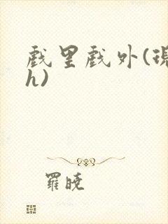 戏里戏外(现场h)