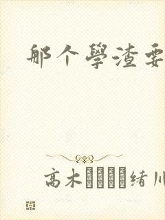 那个学渣要上天封面