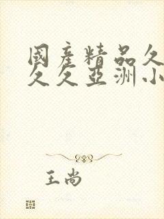 国产精品久久久久久亚洲小说