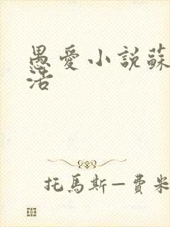 愚爱小说苏倩孙浩