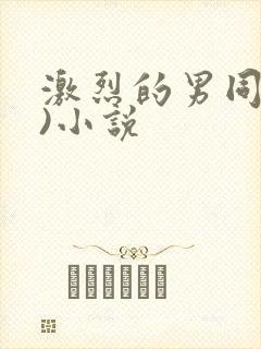 激烈的男同(h)小说