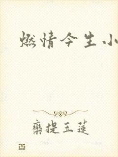 燃情今生小说封面
