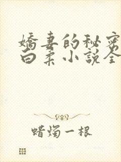 娇妻的秘密王平白柔小说全文阅读