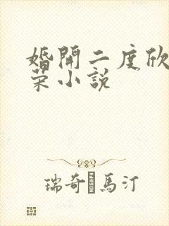 婚开二度欣欣向荣小说封面