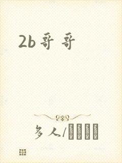 2b哥哥