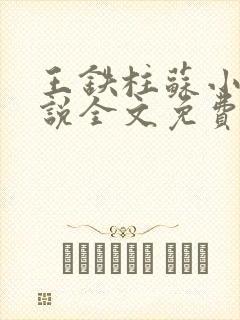 王铁柱苏小汐小说全文免费阅读最新章节