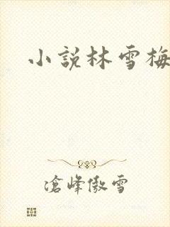 小说林雪梅封面