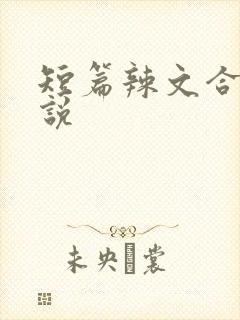 短篇辣文合集小说