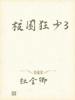 校园狂少3