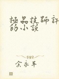 极品技师许文苏的小说