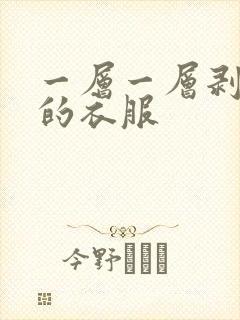 一层一层剥开我的衣服封面