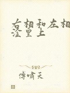 右相和左相一起淦皇上
