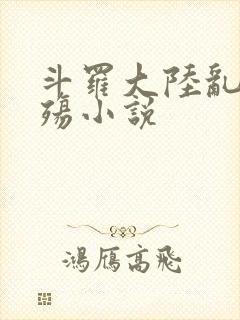 斗罗大陆乱世浮殇小说