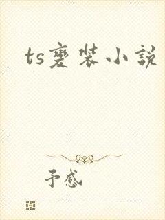 ts变装小说