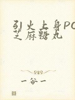 引火上身POP芝麻糖丸