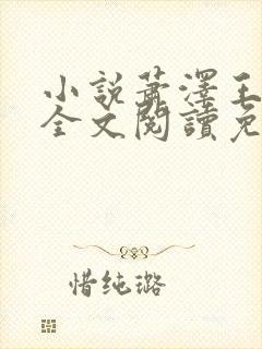 小说萧泽王雪凤全文阅读免费