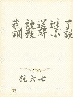 我被送进了私奴调教所小说