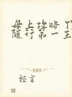 母上攻略 竹影随行第一主板