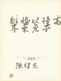 离婚以后高干 耳东兔子