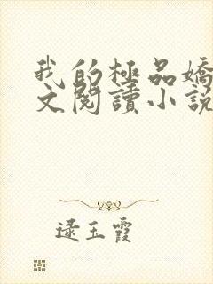 我的极品娇妻全文阅读小说