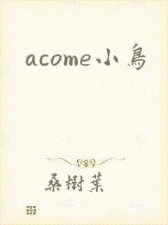 acome小鸟封面