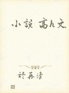 小说 高h文