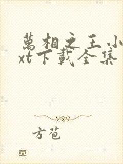 万相之王小说txt下载全集封面