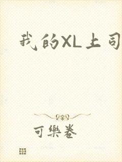 我的XL上司封面