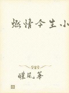 燃情今生小说