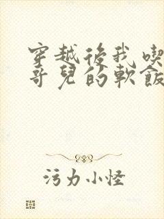 穿越后我吃到了哥儿的软饭炉山灰封面