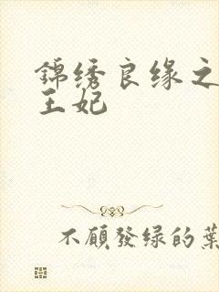 锦绣良缘之北地王妃