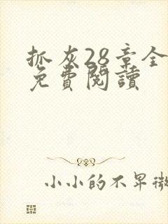 抓灰28章全部免费阅读封面