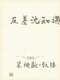 反差沈知遇晏应封面