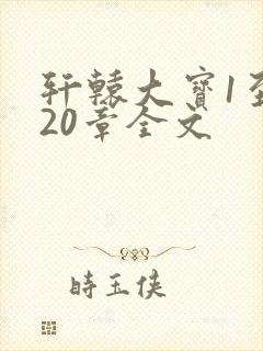 轩辕大宝1至720章全文封面