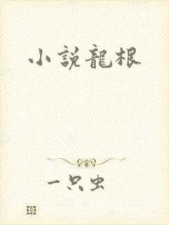 小说龙根