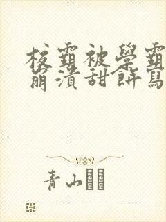 校霸被学霸玩到崩溃甜饼写手