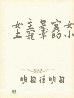 女主是宫女被皇上宠幸的小说