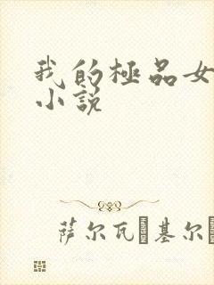 我的极品女老师小说