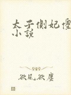 太子侧妃傻乎乎小说