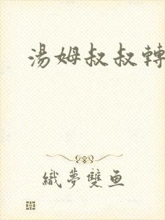 汤姆叔叔转接口