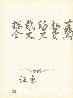 总裁的私有宝贝全文免费阅读