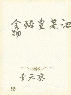 金鳞岂是池中之物封面