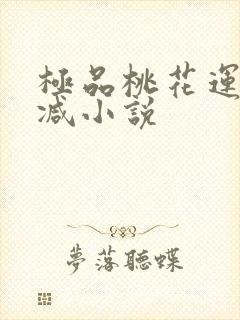 极品桃花运未删减小说