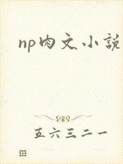 np肉文小说封面