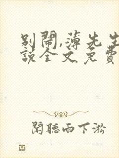 别闹,薄先生小说全文免费阅读封面