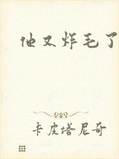 他又炸毛了封面