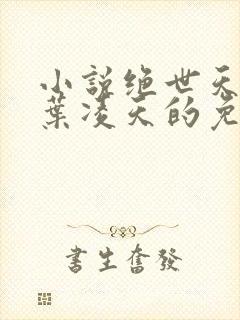 小说绝世天骄·叶凌天的免费阅读