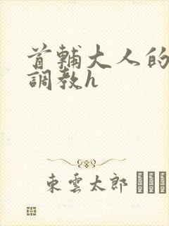 首辅大人的花式调教h