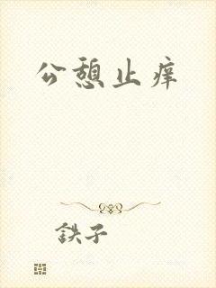 公憩止痒封面
